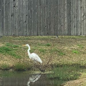 Meet your Posher, Marnie